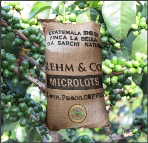 GUATEMALA Finca La Bella Villa Sarchi Natural