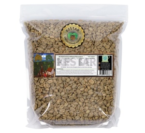NICARAGUA Finca Bethania Maracaturra Washed