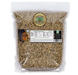 NICARAGUA Matagalpa SHB EP