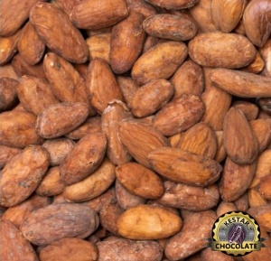 RAW COCOA BEANS - ECUADOR Hacienda Limón