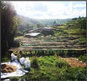 RWANDA Huye Simbi - Img 2