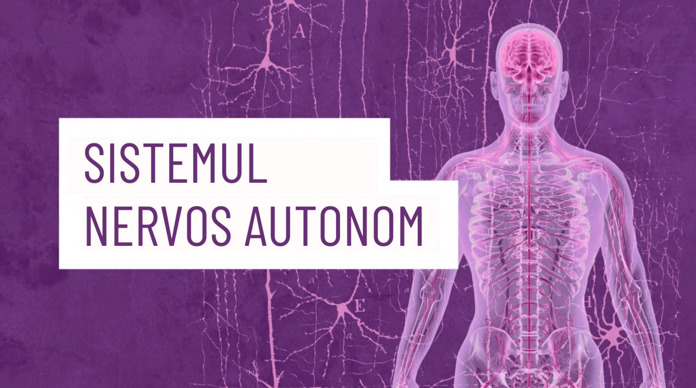 Sistemul nervos autonom: modele și trasee [Fragment Deb Dana, Cum ne recăpătăm starea de bine, conectare și siguranță]