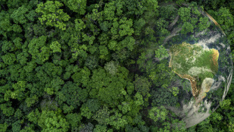 Înălțarea spre natură [fragment Creația - Edward O. Wilson]