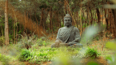Meditația sau cultivarea mentală: Bhavana  [Fragment din „Buddha a spus", Walpola Rahular]