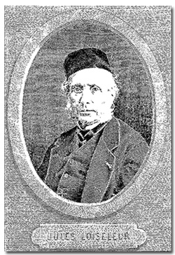 Jules Loiseleur