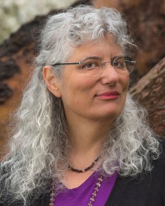 Robin Shapiro