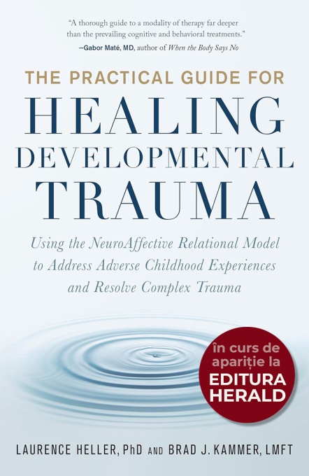 The Practical Guide for Healing Developmental Trauma: Using the NeuroAffective Relational Model to Address Adverse Childhood Experiences and Resolve Complex Trauma