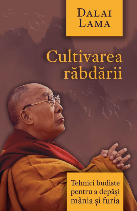 Cultivarea rabdarii - Tehnici budiste pentru a depasi mania si furia