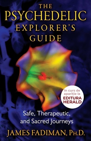 The Psychedelic Explorer's Guide: Safe, Therapeutic, and Sacred Journeys