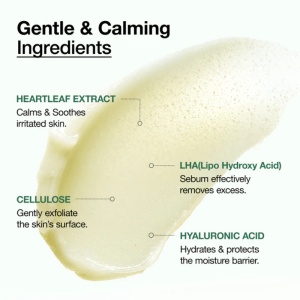 Anua - Heartleaf LHA Moisture Peeling Gel - Gel exfoliant delicat pentru ten luminos și neted - Img 3