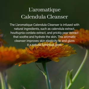 Arencia - Calendula Rice Mochi Cleanser - Purifying Face Wash with Rice - Pasta de curatare a tenului cu pudra de orez, 120 g - Img 7