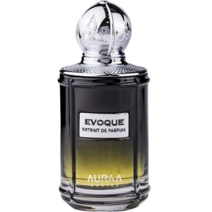 Auraa Desire Evoque Apă de parfum 100 ml, parfum barbatesc