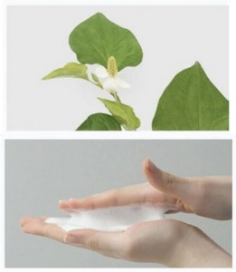 Celimax - Ji.Woo.Gae Cica BHA Acne Foam Cleansing - Spumă de curățare facială pentru ten acneic și sensibil - Img 5