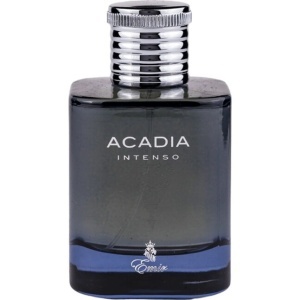 Paris Corner Emir Acadia Intenso Apă de parfum 100 ml, parfum barbatesc