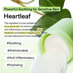 Abib - Heartleaf Spot Pad Calming Touch - Plasturi pentru față cu extract de Heartleaf - Img 2