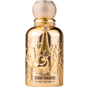 Auraa Desire Cedar Paradise 100ml