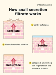 Advanced Snail Peptide Eye Cream COSRX – cremă pentru zona ochilor - Img 7