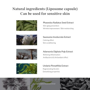 Dr. Althea – Premium Quick Step Sebum Cleanser – Solutie exfolianta pentru curățarea profundă a porilor și reducerea punctelor negre - Img 7