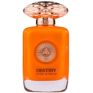 Auraa Desire Destiny Apă de parfum 100 ml, parfum barbatesc