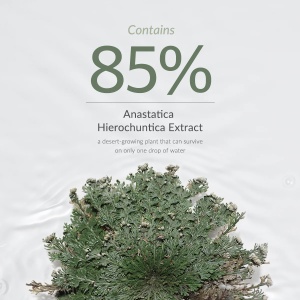 Dr. Althea - Anastatica Skin Conditioning Toner - Toner hidratant tonifiant cu Alantoina - Img 6