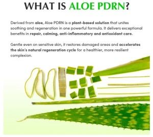 EQQUALBERRY - Aloe PDRN Calming Toner - Toner calmant si hidratant cu aloe, 150 ml - Img 9