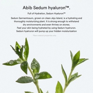 Abib - Sedum Hyaluron Creme - Cremă calmantă și hidratantă cu acid hialuronic - Img 3