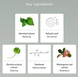 Celimax - Ji.Woo.Gae Cica BHA Acne Foam Cleansing - Spumă de curățare facială pentru ten acneic și sensibil - Img 4