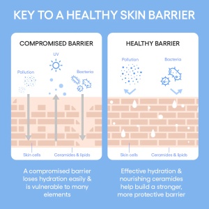 Laneige - Cream Skin Cerapeptide Refiner - Lotiune tonica hidratanta cu ceramide și peptide pentru hidratare și fermitate - Img 7