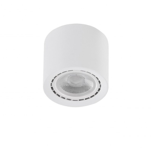 Spot aplicat de tavan/plafon ECO ALEX V2 alb