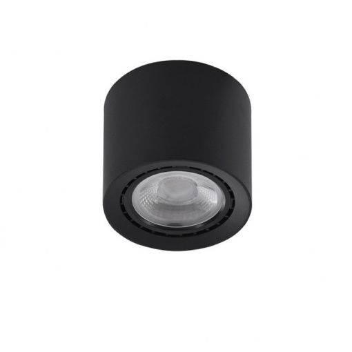 Spot aplicat de tavan/plafon ECO ALEX V2 negru