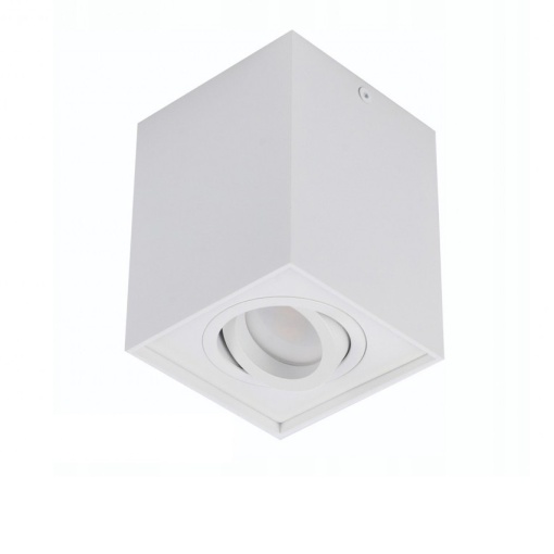Spot directionabil aplicat tavan/plafon stil modern ELOY 1 White
