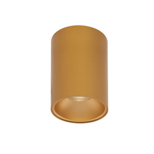 Spot aplicat tavan / plafon design modern minimalist NIDO auriu