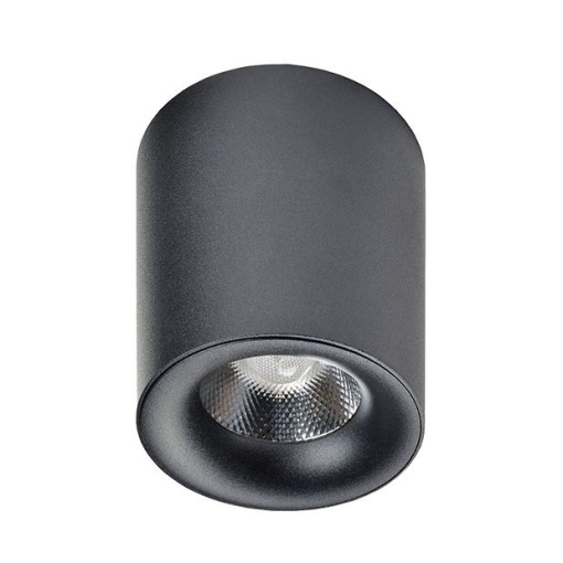 Spot LED aplicat tavan/plafon MANE negru 4000K
