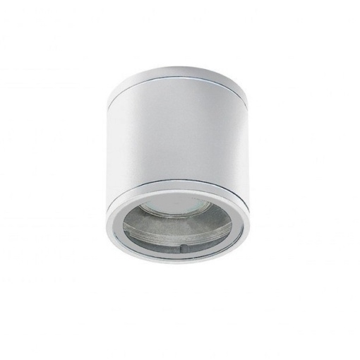 Spot aplicat iluminat exterior IP54 JOE TUBE alb ZZ AZ3315