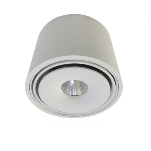 Spot LED aplicat directionabil de tavan/plafon BOSTON TUBE alb ZZ AZ3469