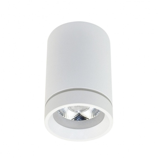 Spot LED aplicat de tavan/plafon Bill alb ZZ AZ3375