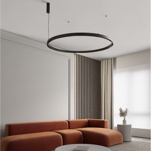 Accesoriu, Modul LED pentru sina magnetica Halo diametru 120cm 240010 universul-luminii.ro