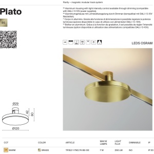 Accesoriu, Spot pentru Sistem Modular Magnetic Flarity, Plato alama 166500 universul-luminii.ro