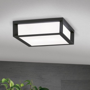 Aplica de perete sau tavan exterior, protectie IP44, Henry antracit 197810 universul-luminii.ro