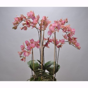 Aranjament floral deosebit ORCHID O/SOIL RED 75cm 113674 SK