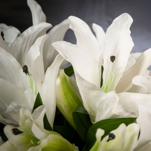 Aranjament floral design LUX ETERNITY SQUARE LILIUM - Img 2