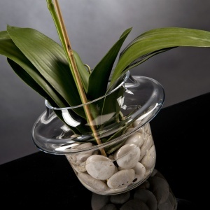 Aranjament floral elegant LIGHT ATOLLO 1 PHALENOPSIS SMALL 1141373.95 - Img 3