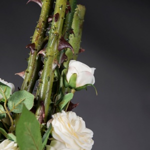 Aranjament floral mare design LUX PENELOPE COLUMN ROSES 1142278.95 - Img 4