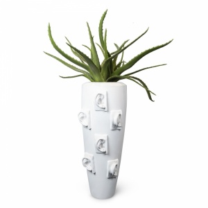Aranjament floral mare OBICE DAVID EARS WITH ALOE