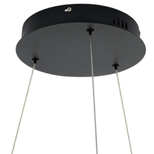 Lustra LED cu telecomanda Garden Wisteria 120 237950 universul-luminii.ro