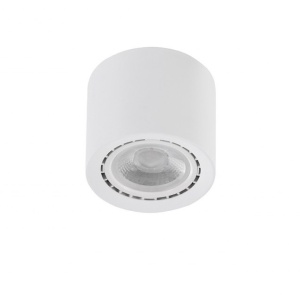Spot aplicat de tavan/plafon ECO ALEX V2 alb