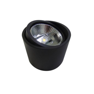 Spot aplicat directionabil de tavan/plafon ALIX negru ZZ AZ3540 81050 universul-luminii.ro