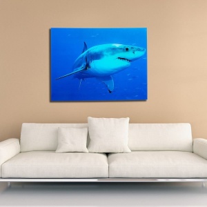 Tablou decorativ imagine imprimata pe sticla, Shark 60x80cm A-37414 VC - Img 2