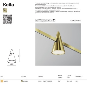Accesoriu, Spot pentru Sistem Modular Magnetic Flarity, Keila alama 243141 universul-luminii.ro