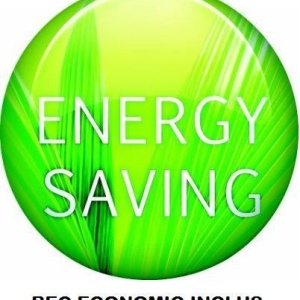Aplica cu neon Profi II 4227 GL 43181 universul-luminii.ro